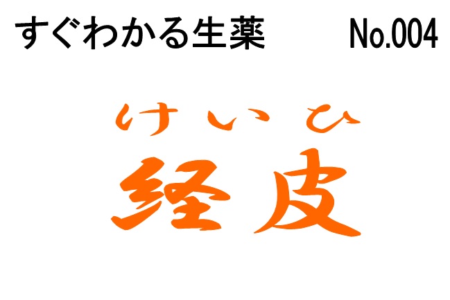 004経皮